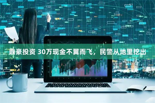 鼎豪投资 30万现金不翼而飞，民警从地里挖出
