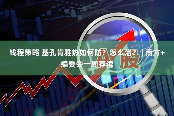 钱程策略 基孔肯雅热如何防？怎么治？ | 南方+编委会一周荐读