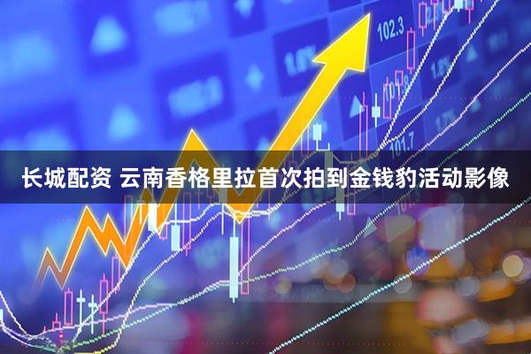 长城配资 云南香格里拉首次拍到金钱豹活动影像